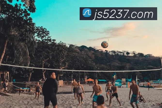 澳门金沙国际服务体系